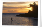 Stand-up paddler at sunset on Maui, Hawaii by Anonymous