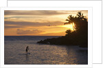 Stand-up paddler at sunset on Maui, Hawaii by Anonymous