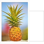 Pineapple by Anonymous