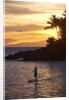 Stand-up paddler at sunset on Maui, Hawaii by Anonymous