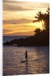 Stand-up paddler at sunset on Maui, Hawaii by Anonymous