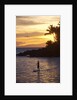 Stand-up paddler at sunset on Maui, Hawaii by Anonymous