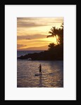 Stand-up paddler at sunset on Maui, Hawaii by Anonymous