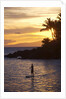 Stand-up paddler at sunset on Maui, Hawaii by Anonymous