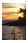 Stand-up paddler at sunset on Maui, Hawaii by Anonymous