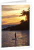 Stand-up paddler at sunset on Maui, Hawaii by Anonymous