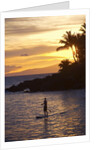 Stand-up paddler at sunset on Maui, Hawaii by Anonymous