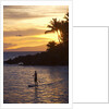 Stand-up paddler at sunset on Maui, Hawaii by Anonymous