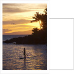 Stand-up paddler at sunset on Maui, Hawaii by Anonymous