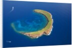 Molokini by Anonymous