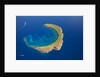 Molokini by Anonymous