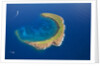 Molokini by Anonymous