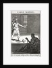 Gaius Marius by Anonymous