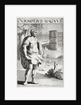 Gnaeus Pompeius Magnus by Anonymous