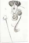 Oscar Wilde, the Irish dramatist, writer and poet. A caricature by Max Beerbohm showing his extravagent haircut, style of dress and his trademark cane. by Anonymous