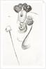 Oscar Wilde, the Irish dramatist, writer and poet. A caricature by Max Beerbohm showing his extravagent haircut, style of dress and his trademark cane. by Anonymous