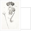 Oscar Wilde, the Irish dramatist, writer and poet. A caricature by Max Beerbohm showing his extravagent haircut, style of dress and his trademark cane. by Anonymous