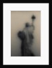 Diffused image of the Statue of Liberty by Anonymous