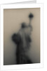 Diffused image of the Statue of Liberty by Anonymous