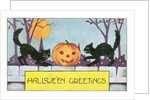 Hallowe'en Greetings postcard by Anonymous
