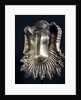 Benin brass hip mask worn by Benin chiefs by Anonymous