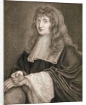 Isaac Newton by Anonymous