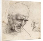 Study for the Heads of Two Soldiers in the Battle of Anghiari by Leonardo da Vinci