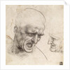 Study for the Heads of Two Soldiers in the Battle of Anghiari by Leonardo da Vinci