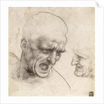 Study for the Heads of Two Soldiers in the Battle of Anghiari by Leonardo da Vinci