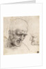 Study for the Heads of Two Soldiers in the Battle of Anghiari by Leonardo da Vinci