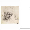 Study for the Heads of Two Soldiers in the Battle of Anghiari by Leonardo da Vinci