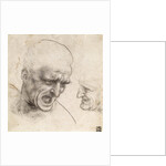 Study for the Heads of Two Soldiers in the Battle of Anghiari by Leonardo da Vinci