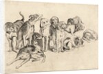 Study of Eleven Hounds by Wenceslas Hollar