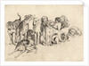 Study of Eleven Hounds by Wenceslas Hollar