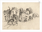 Study of Eleven Hounds by Wenceslas Hollar