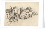 Study of Eleven Hounds by Wenceslas Hollar