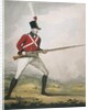 Military figure in the uniform of an unidentified volunteer regiment by Anonymous