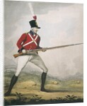Military figure in the uniform of an unidentified volunteer regiment by Anonymous