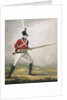 Military figure in the uniform of an unidentified volunteer regiment by Anonymous