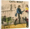 Cats Meat by T.H. Jones
