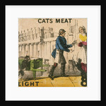 Cats Meat by T.H. Jones