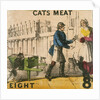 Cats Meat by T.H. Jones