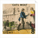 Cats Meat by T.H. Jones