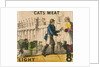 Cats Meat by T.H. Jones