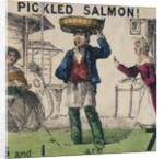 Pickled Salmon! by T.H. Jones