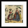 Sweet Lavender! by T.H. Jones
