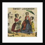 Sweet Lavender! by T.H. Jones