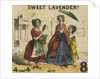 Sweet Lavender! by T.H. Jones