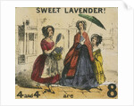 Sweet Lavender! by T.H. Jones