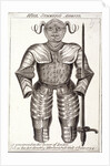 Will Summers's armor by Anonymous